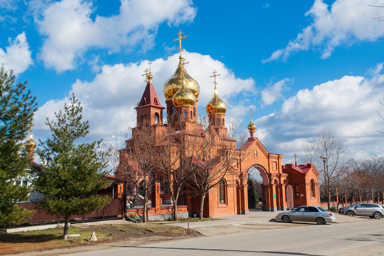 Розовый лабинский краснодарский край